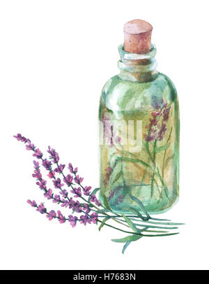 Getrockneten Lavendel Blüten in einer Glasflasche. Aquarell Hand Malerei Illustration auf weißen Hintergrund zu isolieren. Stockfoto