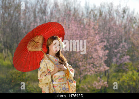 Asiatische Frau tragen traditionelle japanischen kimono Stockfoto