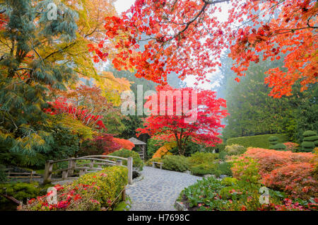 Herbst Farben, japanischer Garten, Butchart Gardens, Brentwood Bay, Vancouver Island, British Columbia, Kanada Stockfoto