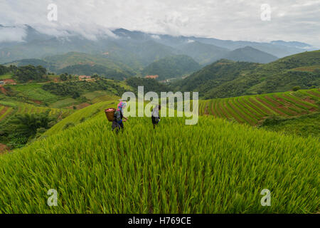 Zwei Frauen gehen durch terrassierte Reisfelder, Vietnam Stockfoto