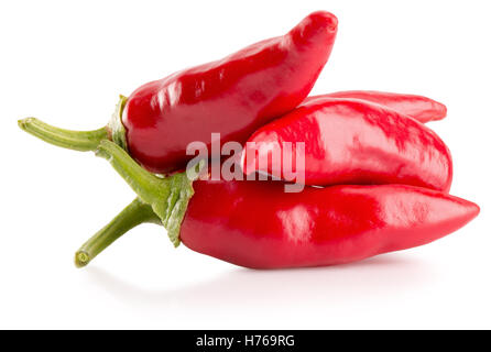 rote Chilischoten auf dem weißen Hintergrund isoliert. Stockfoto