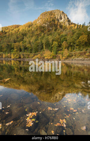 Herbstlaub und Farben an Raven Felsen spiegeln sich in Thirlmere, Englisch Lake District National Park, Cumbria, England, UK Stockfoto