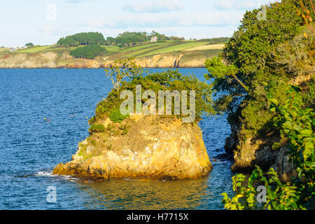 Französische Küste in der Nähe von Douarnenez, Finistere, Bretagne, Frankreich Stockfoto