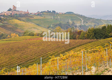 Weinberge in der Nähe Serralunga d ' Alba, Langhe, Cuneo, Piemont, Italien. Stockfoto