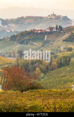Langhe Weinberge und Castiglione Falletto, Langhe, Bezirk Cuneo, Piemont, Italien. Stockfoto
