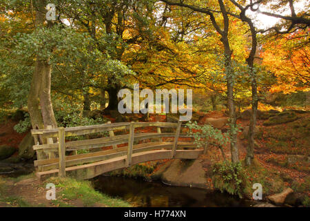 Holzbrücke über Burbage Brook in Padley Schlucht; ein wunderschönes Tal im Peak District National Park, Derbyshire UK - Herbst Stockfoto