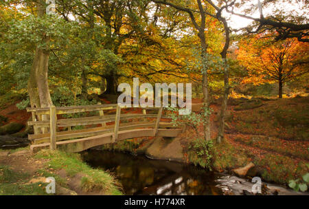 Holzbrücke über Burbage Brook in Padley Schlucht; ein wunderschönes Tal im Peak District National Park, Derbyshire UK - Herbst Stockfoto