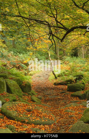 Einem verlassenen Mühlstein, ein Symbol des kulturellen Erbes der Peak District National Park, in Padley Schlucht, Derbyshire England UK Stockfoto