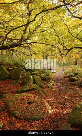 Einem verlassenen Mühlstein, ein Symbol des kulturellen Erbes der Peak District National Park, in Padley Schlucht, Derbyshire England UK Stockfoto