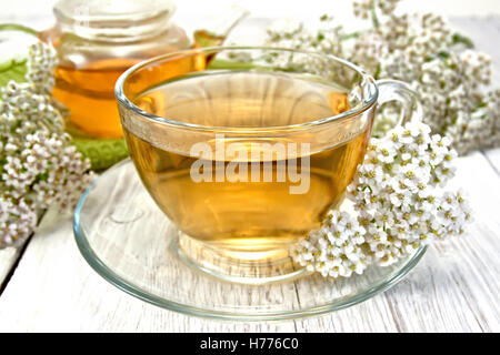 Tee mit Schafgarbe im Cup auf leichte board Stockfoto