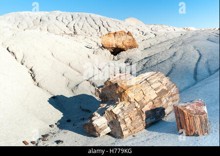 Versteinertes Holz, Petrified Forest National Park, Arizona, USA Stockfoto