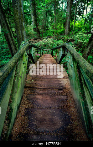 Brücke und Fußweg durch Wald Stockfoto