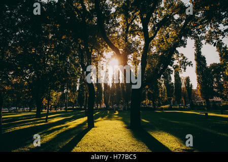 Sonnenlicht durch Bäume im Herbst Park strömen Stockfoto