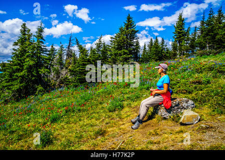 Ältere Frau genießen eine Pause auf einer Wanderung an die Spitze der Tod Mountain in den Shuswap Highlands of Central British Columbia, Kanada Stockfoto