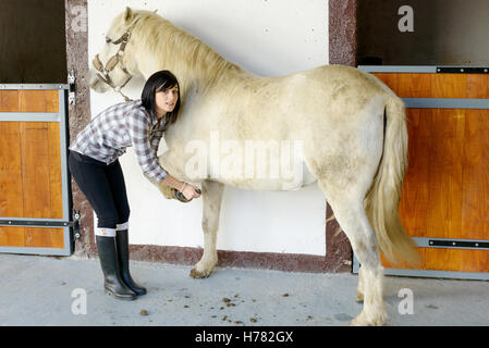 schöne Brünette junge Frau reinigt den Pferdehufen Stockfoto