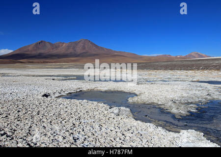 Laguna Ramaditas, Altiplano, Südliches Bolivien Südamerika Stockfoto