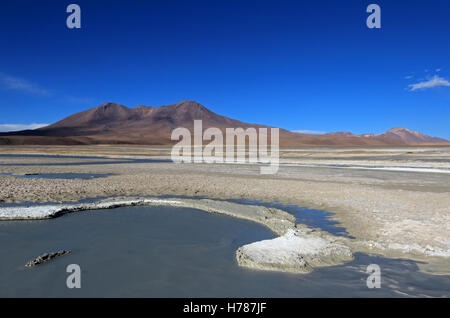 Laguna Ramaditas, Altiplano, Südliches Bolivien Südamerika Stockfoto