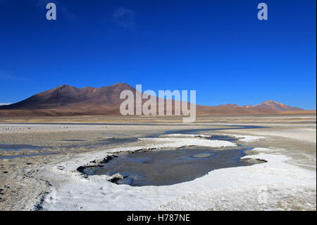 Laguna Ramaditas, Altiplano, Südliches Bolivien Südamerika Stockfoto