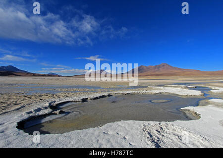 Laguna Ramaditas, Altiplano, Südliches Bolivien Südamerika Stockfoto