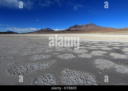 Laguna Ramaditas, Altiplano, Südliches Bolivien Südamerika Stockfoto