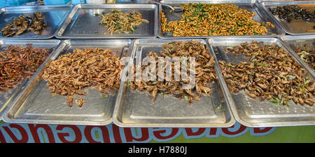 Gebratene Insekten zum Verkauf in der Nacht Markt, Prachuap Khiri Khan, Thailand Stockfoto