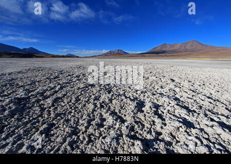 Laguna Ramaditas, Altiplano, Südliches Bolivien Südamerika Stockfoto