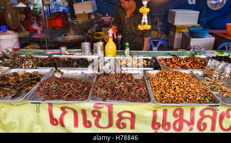 Gebratene Insekten zum Verkauf in der Nacht Markt, Prachuap Khiri Khan, Thailand Stockfoto