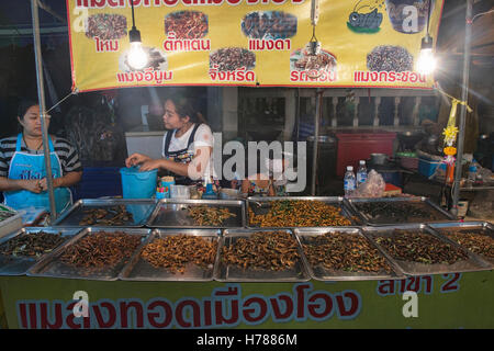 Gebratene Insekten zum Verkauf in der Nacht Markt, Prachuap Khiri Khan, Thailand Stockfoto