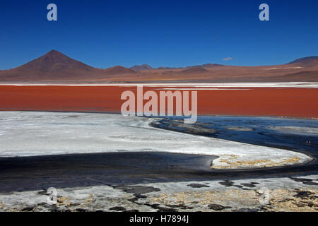 Das schöne rot gefärbten Laguna Colorada im südlichen Bolivien, Südamerika Stockfoto