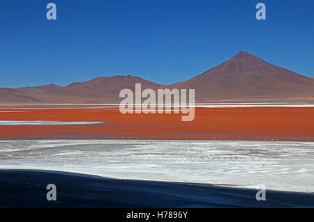 Das schöne rot gefärbten Laguna Colorada im südlichen Bolivien, Südamerika Stockfoto