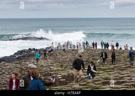 Giants Causeway auf der Küste von North Antrim in Ulster, Irland. Stockfoto