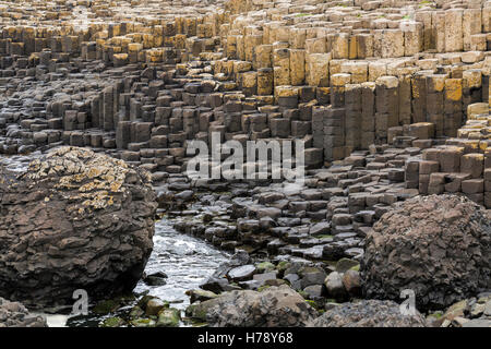 Giants Causeway auf der Küste von North Antrim in Ulster, Irland. Stockfoto