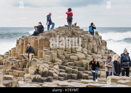 Giants Causeway auf der Küste von North Antrim in Ulster, Irland. Stockfoto