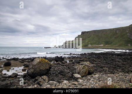 Fels-Pools bei den Giants Causeway auf der Küste von North Antrim in Ulster, Irland. Stockfoto