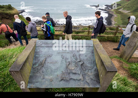 Giants Causeway auf der Küste von North Antrim in Ulster, Irland. Stockfoto