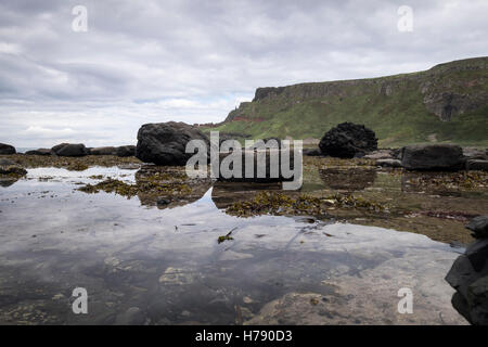 Fels-Pools bei den Giants Causeway auf der Küste von North Antrim in Ulster, Irland. Stockfoto