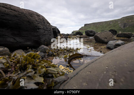 Fels-Pools bei den Giants Causeway auf der Küste von North Antrim in Ulster, Irland. Stockfoto