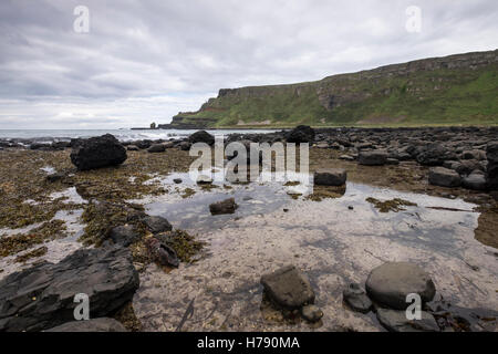 Fels-Pools bei den Giants Causeway auf der Küste von North Antrim in Ulster, Irland. Stockfoto