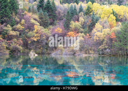 Herbstlaub mit Blick auf einen See in Jiuzhaigou Nationalpark in der Provinz Sichuan, China im Oktober 2016 Stockfoto