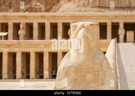 Horus. Tempel der Hatschepsut. Luxor, Ägypten Stockfoto