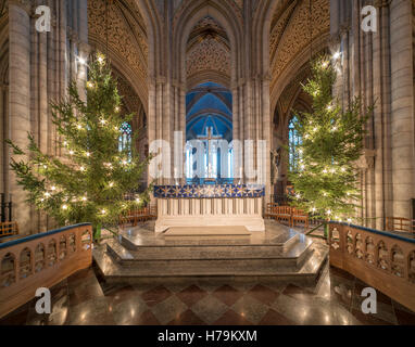 Der Altar zu Weihnachten mit x-mas-Bäume. Innere der Kathedrale von Uppsala (Domkyrka). Uppsala, Schweden, Skandinavien. Stockfoto