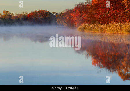 Nebligen Herbstmorgen. Morgendämmerung am nebligen ruhigen Fluss Stockfoto