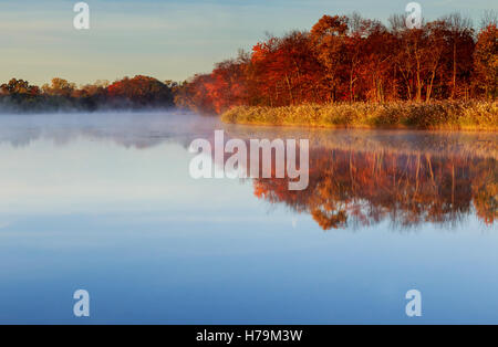 Fantastische neblig Fluss mit frischen grünen Rasen in der Sonne. Sonnenstrahlen durch Baum. Dramatische bunte Landschaft. Seret Flusses, Uk Stockfoto