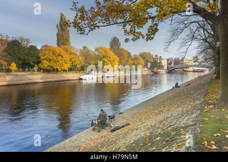 Herbst entlang dem Fluss Ouse in Zentrum von York. Stockfoto