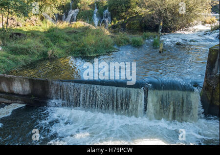 Fließendes Wasser bei Tumwater Wasserfällen schafft einen glänzende Vorhang. Stockfoto