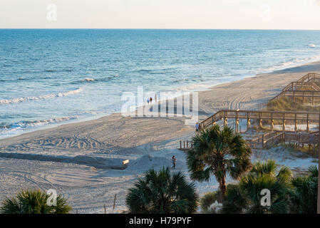 Blick von der Dachterrasse auf Palmen, Gehwege und Seashore Myrtle Beach, South Carolina Stockfoto