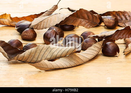 Kastanien (Castanea Sativa) und getrocknete Blätter auf einem Holztisch Stockfoto