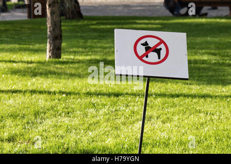 Kein Hund erlaubt Zeichen im Park mit grünen Rasen auf dem Hintergrund Stockfoto