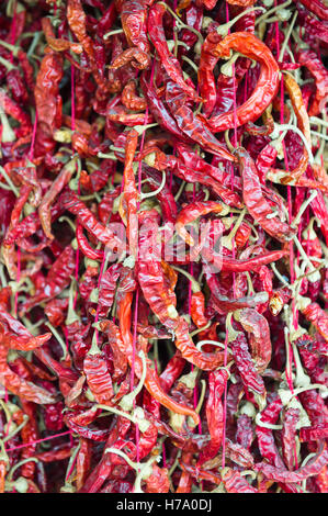 Nahaufnahme von Haufen von getrocknete rote Chilischoten auf dem Display am Markt in Indien Stockfoto