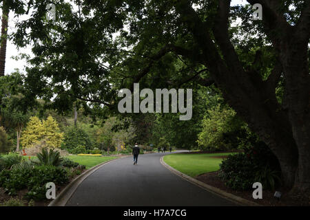 Die Royal Botanic Gardens in Melbourne. Stockfoto